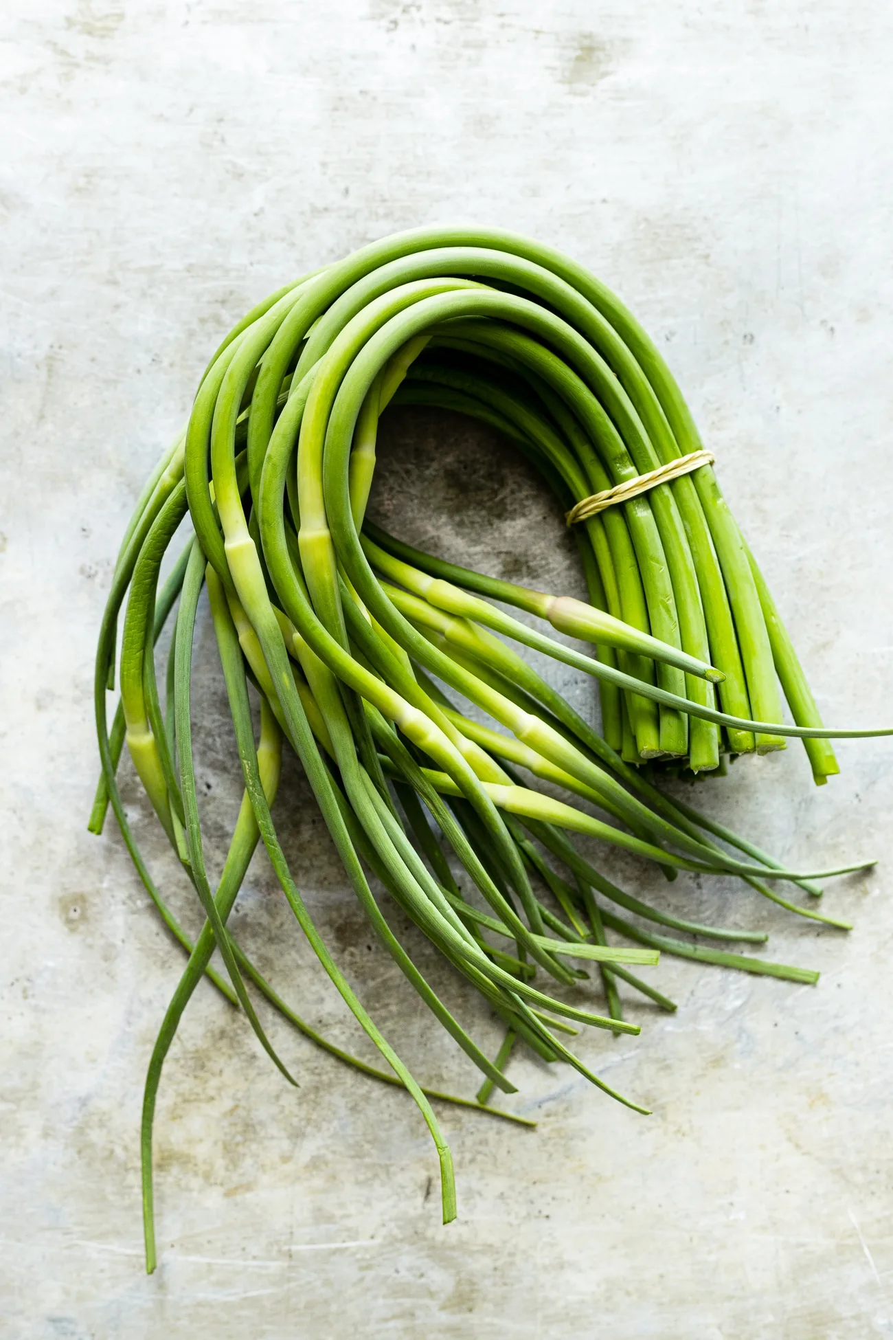 garlic scapes in a bundle 