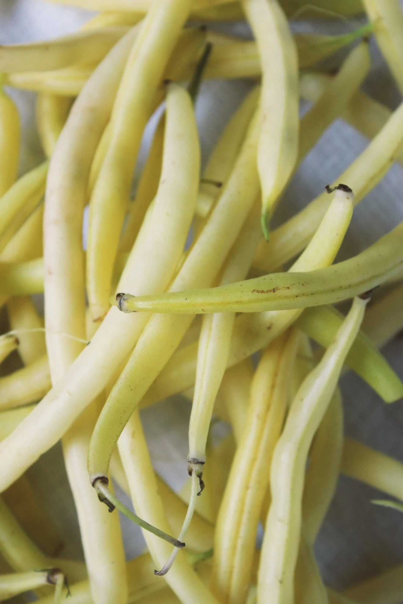 yellow-beans
