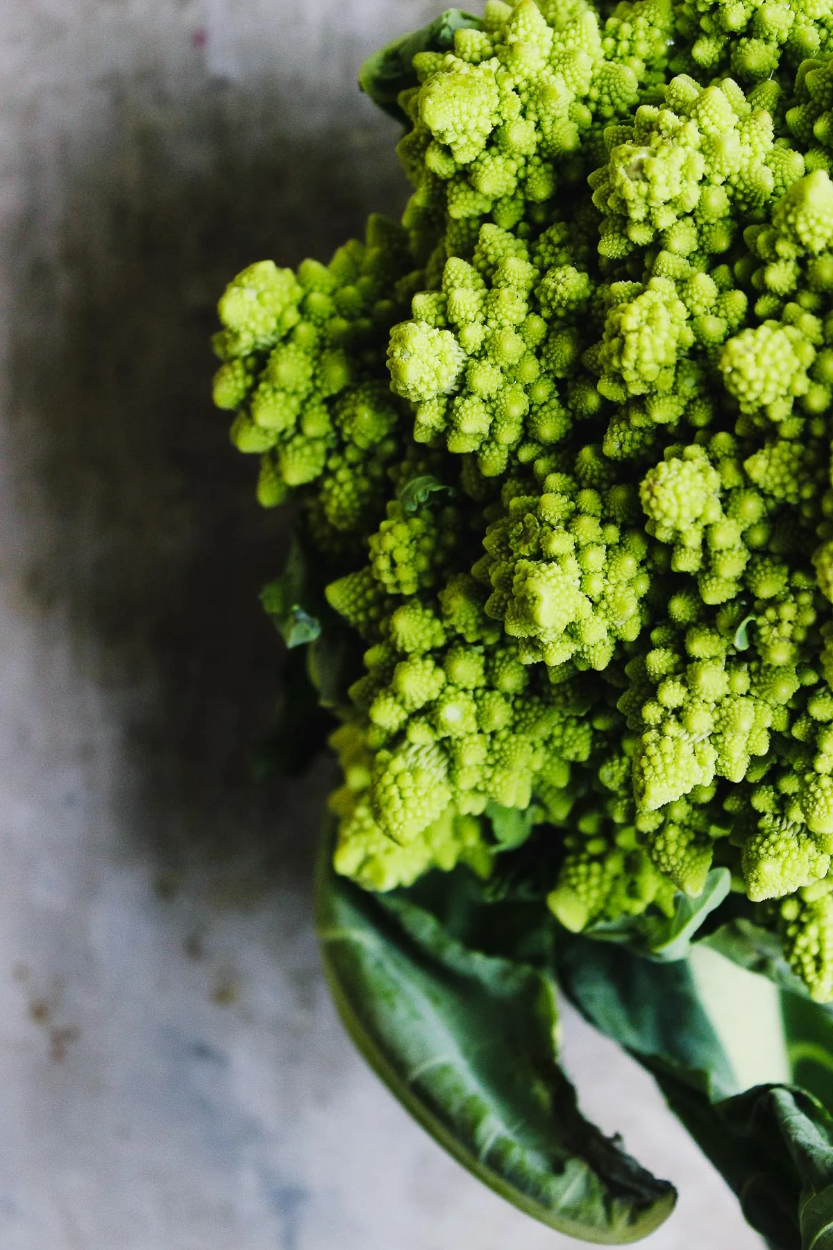 A charred, roasted romanesco salad with brussels and leeks, and tossed in a salty green olive dressing. A warm and hearty salad perfect for fall or winter. #roastedromanesco #romanescorecipes #romanescosalad