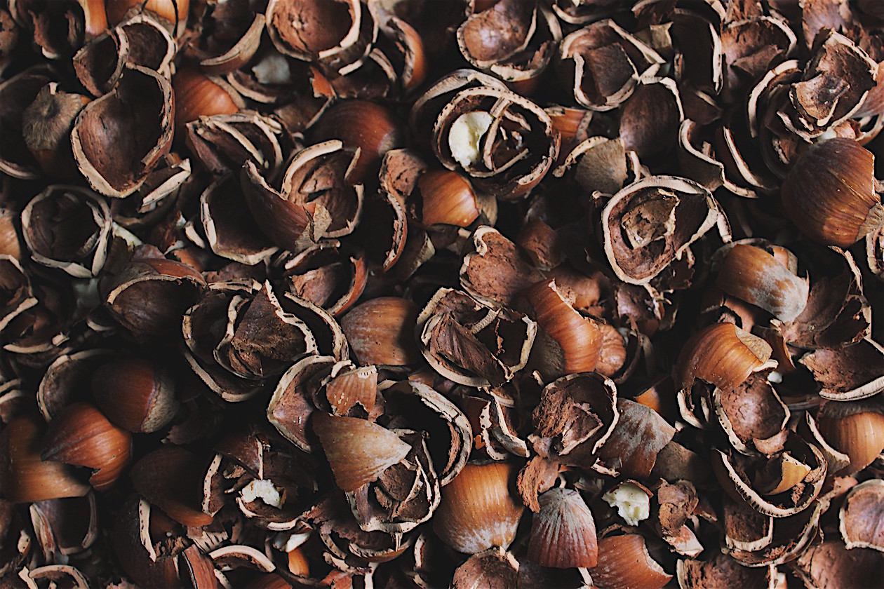 Chocolate Hazelnut Smoothie Bowl | @withfoodandlove