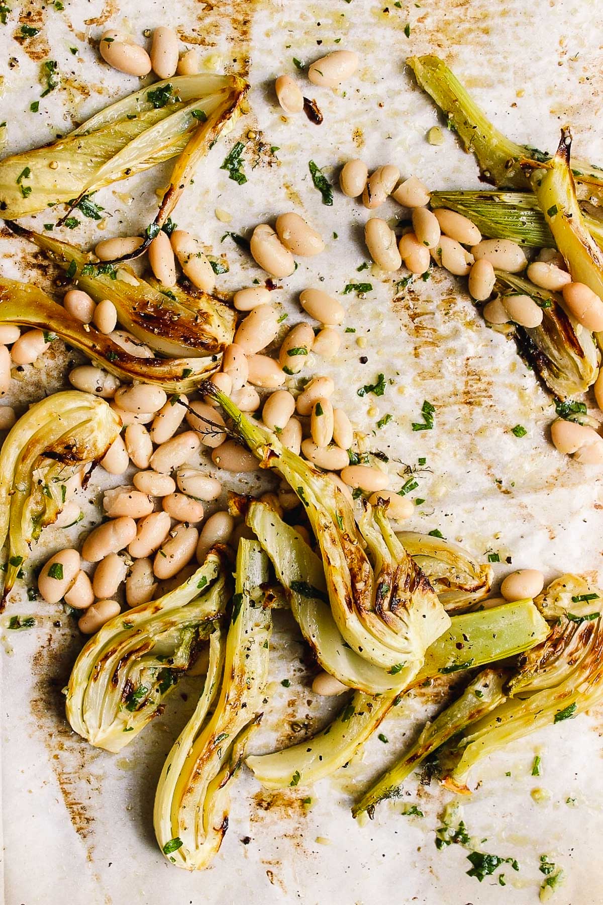 a tray of roasted fennel