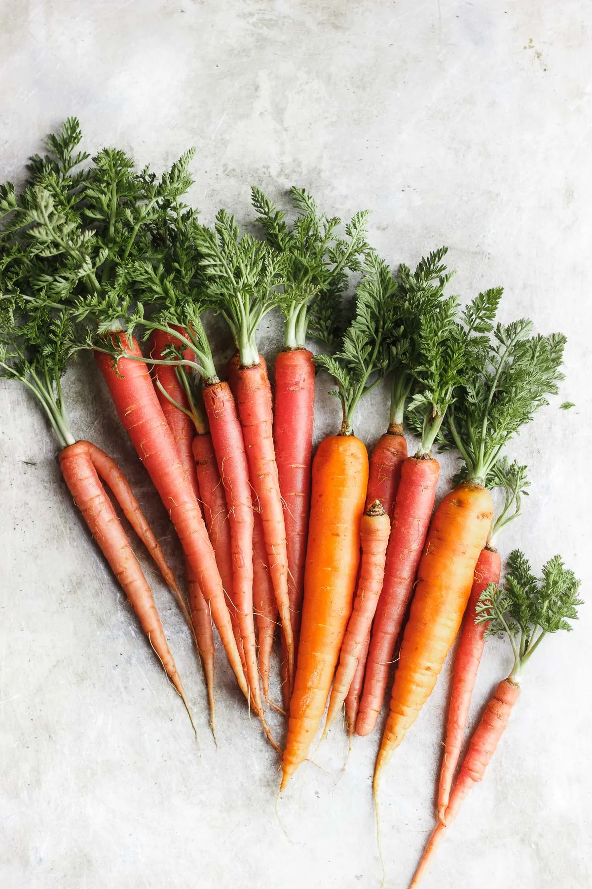 rainbow carrots on a grey surface