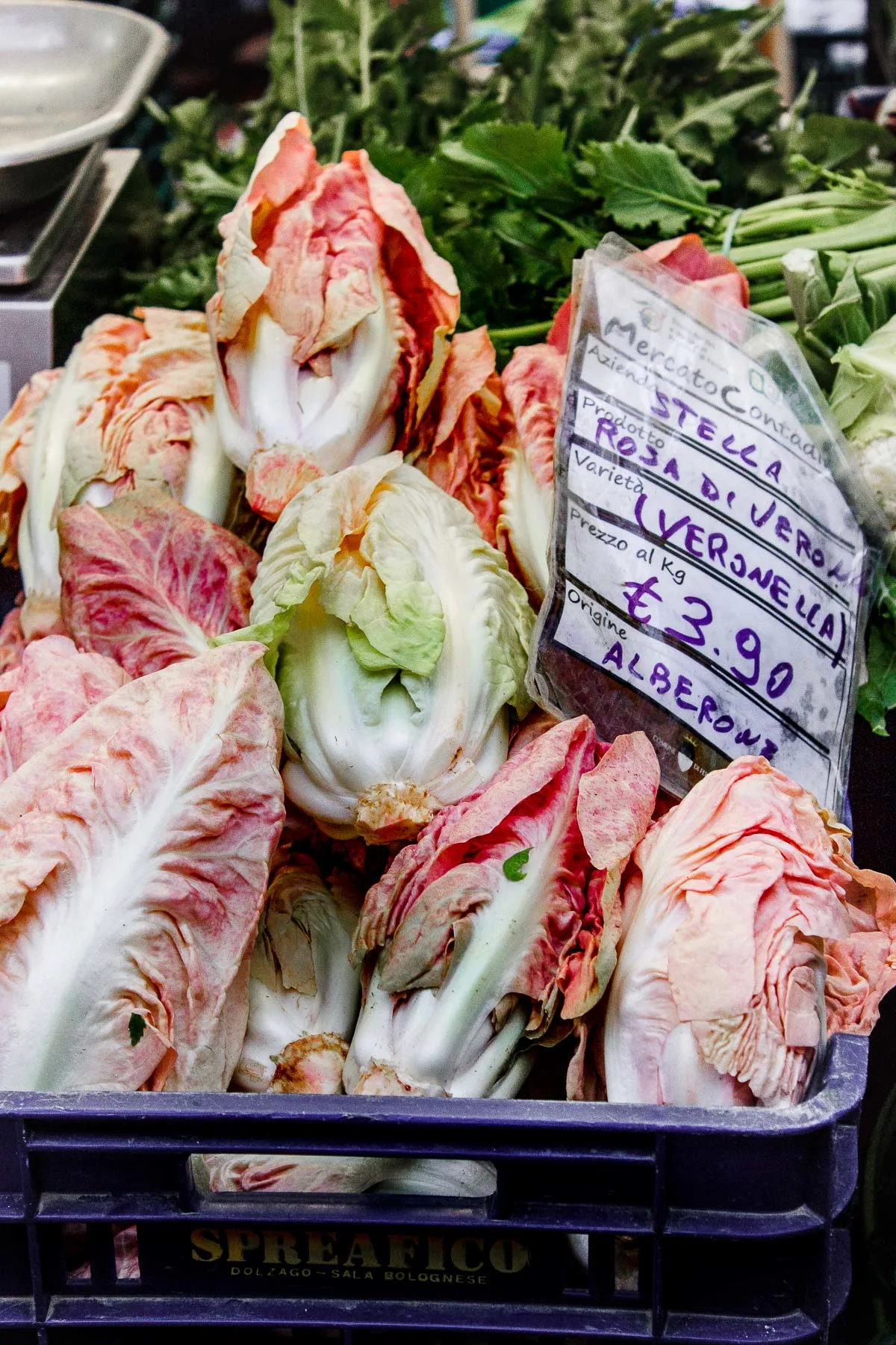 pink radicchio at the market in italy