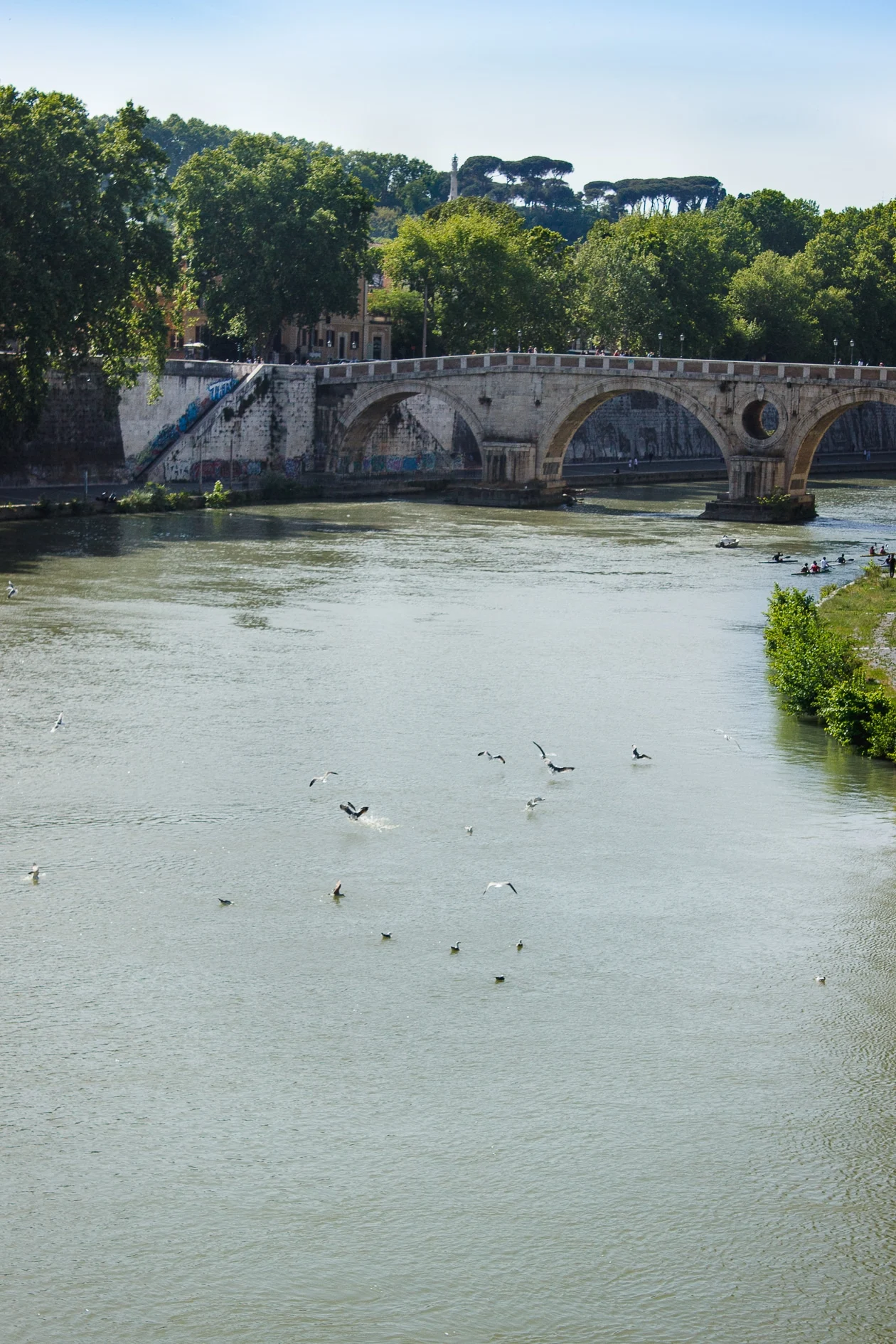 Gluten-free In Rome | Italy is a gluten-free paradise. A guide for dealing with celiac disease in Rome, Italy.