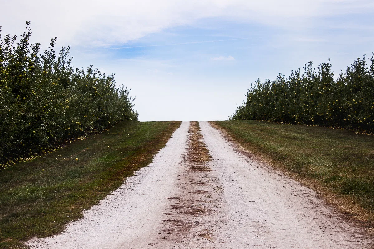 eckert farm apple orchards