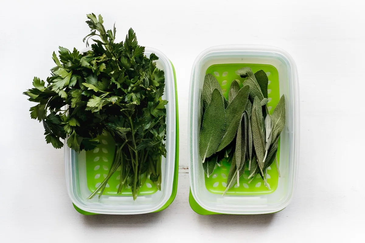 herbs in rubbermaid containers